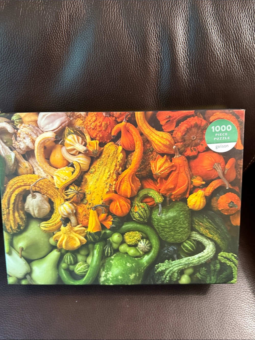 Galison Gourds 1000 pieces jigsaw puzzle. Excellent condition has poster